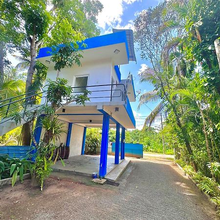 Jungle Fence Bed & Breakfast Bentota Dış mekan fotoğraf
