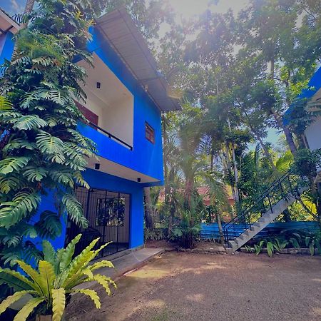 Jungle Fence Bed & Breakfast Bentota Dış mekan fotoğraf
