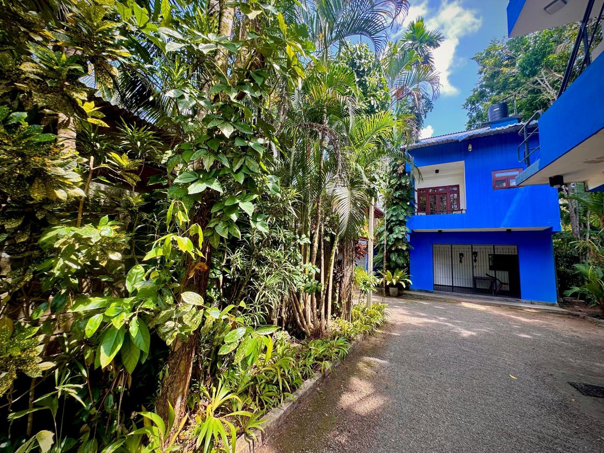 Jungle Fence Bed & Breakfast Bentota Dış mekan fotoğraf