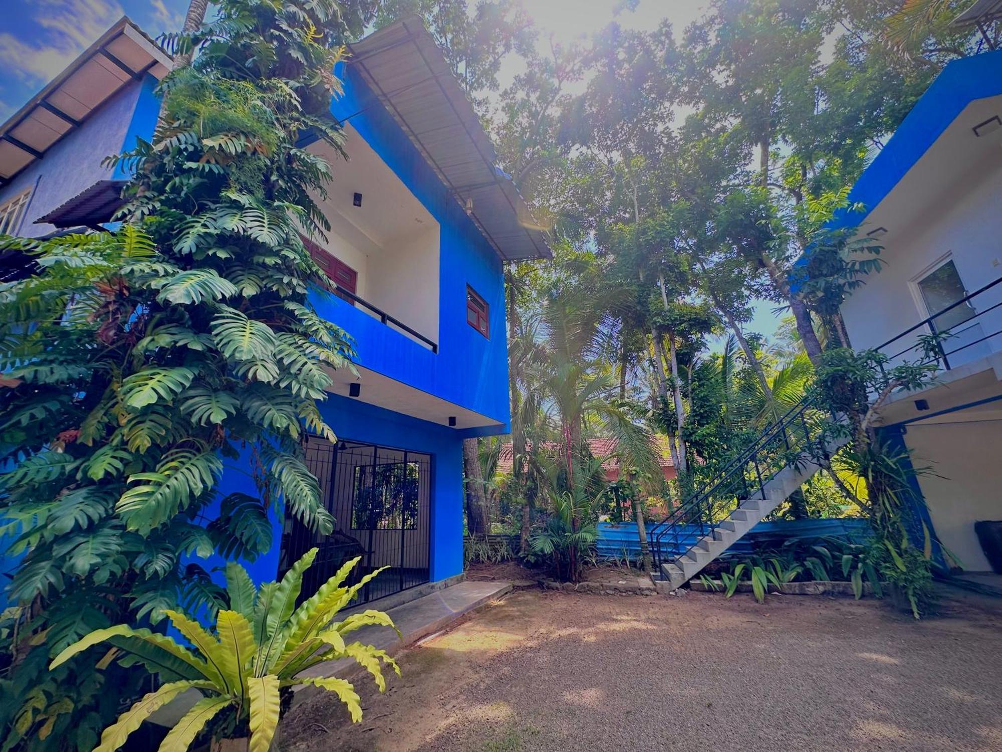 Jungle Fence Bed & Breakfast Bentota Dış mekan fotoğraf