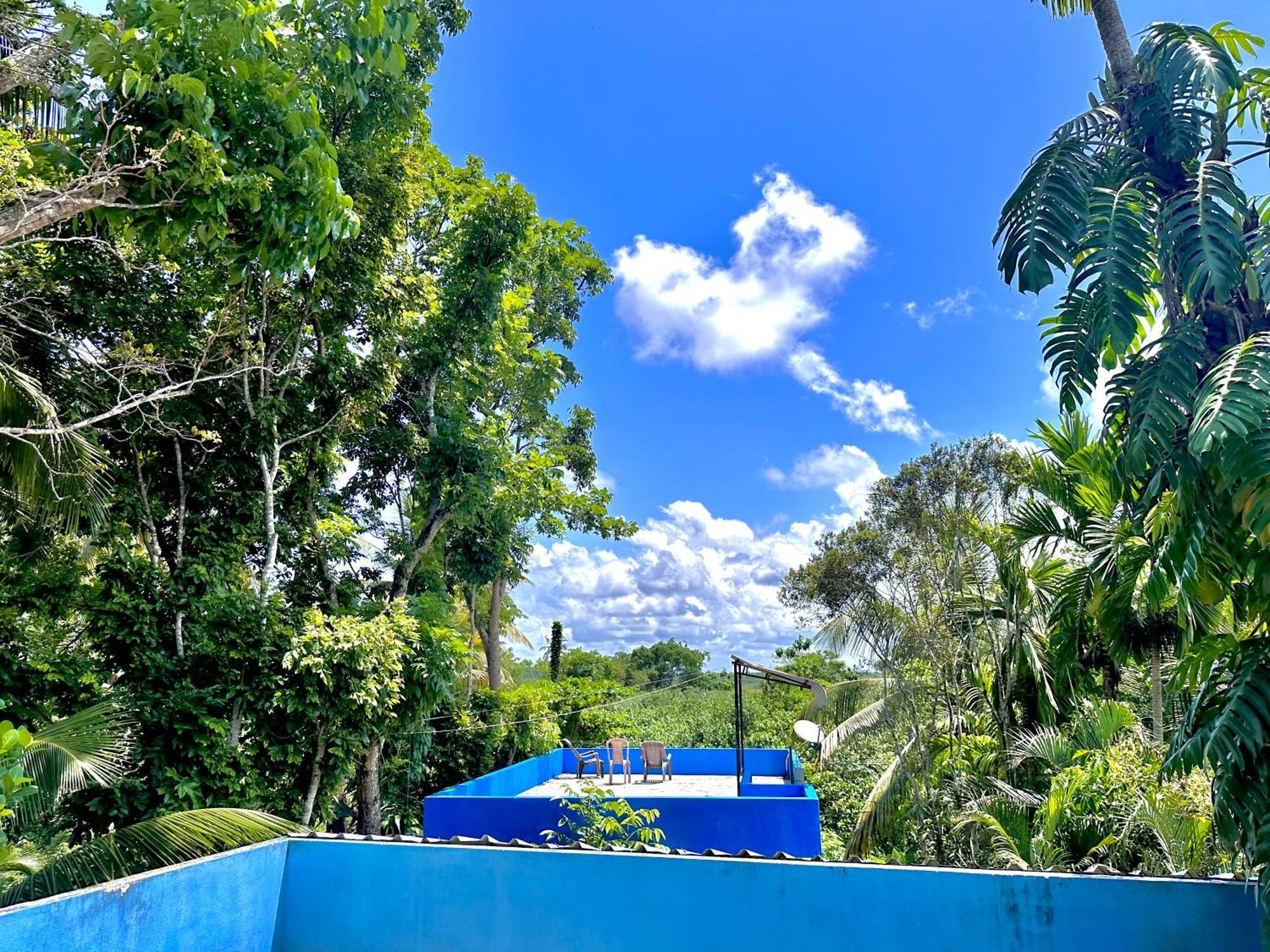 Jungle Fence Bed & Breakfast Bentota Dış mekan fotoğraf